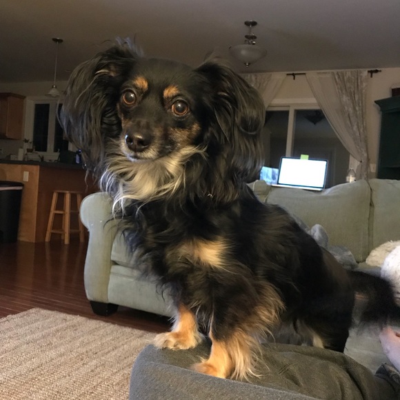 Hello 👋🏻 - Picture 4 of 5